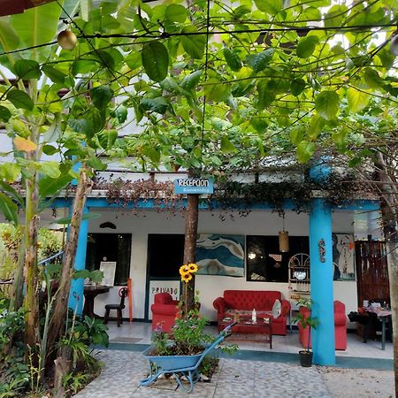 Cabinas Del Mar Sámara المظهر الخارجي الصورة