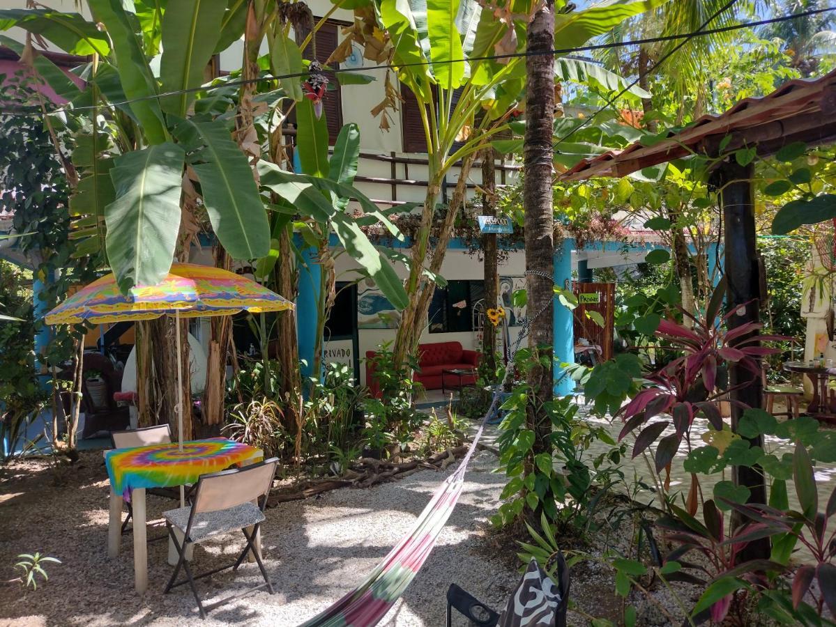 Cabinas Del Mar Sámara المظهر الخارجي الصورة