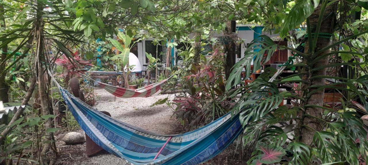 Cabinas Del Mar Sámara المظهر الخارجي الصورة