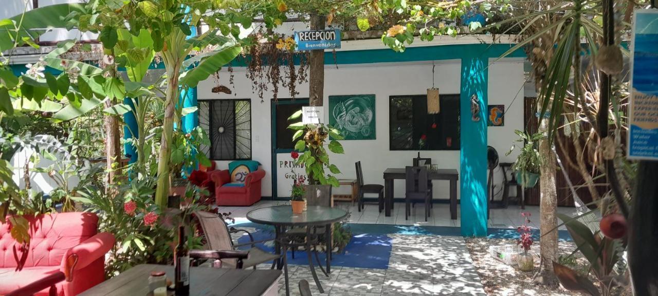 Cabinas Del Mar Sámara المظهر الخارجي الصورة