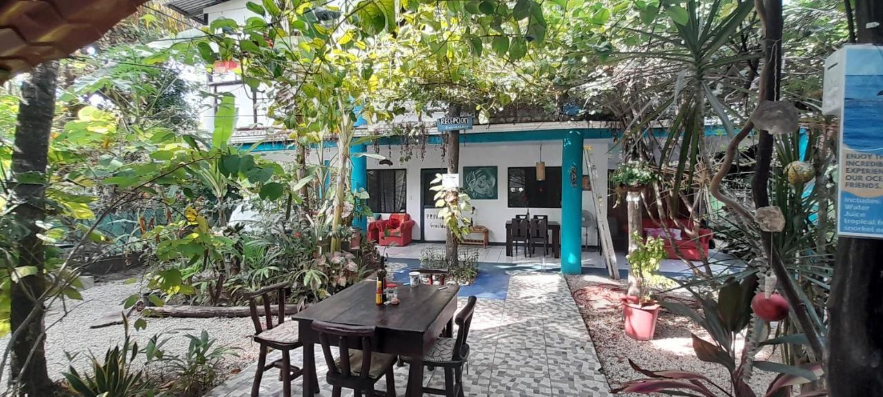 Cabinas Del Mar Sámara المظهر الخارجي الصورة