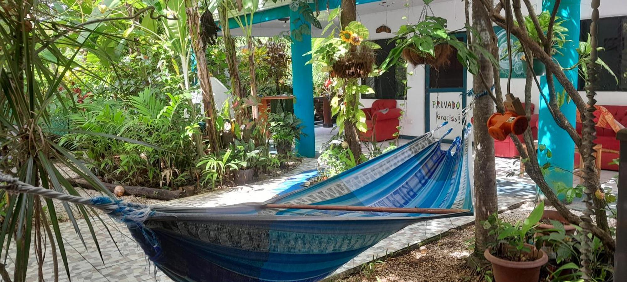 Cabinas Del Mar Sámara المظهر الخارجي الصورة