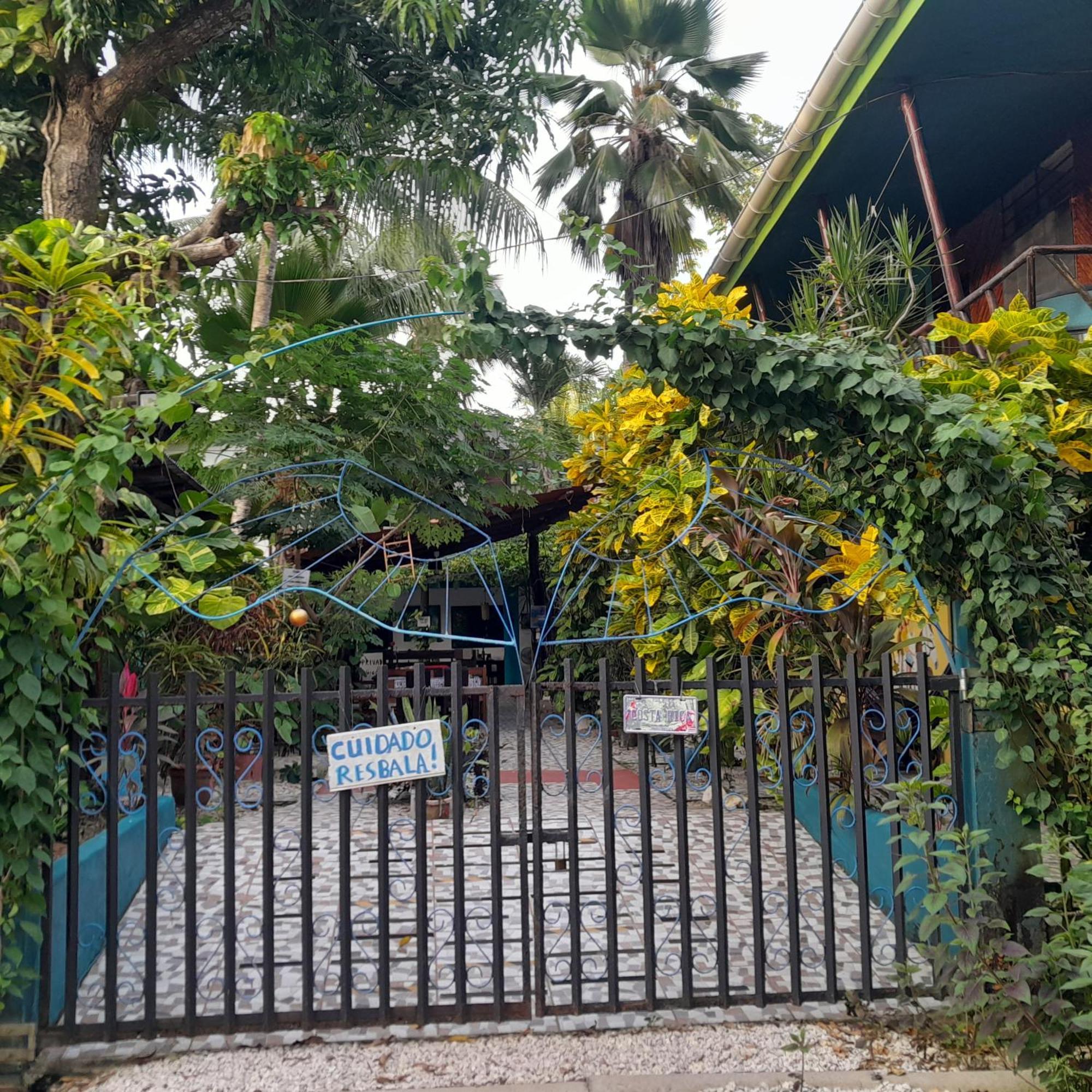 Cabinas Del Mar Sámara المظهر الخارجي الصورة